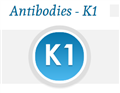 K1单克隆抗体(mAb)，小鼠，IgG2a，kappa链